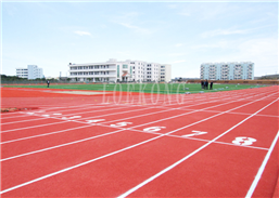 陆丰市东海镇溢智中学新国标复合型塑胶跑道